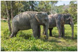 Thailand Power Plugs - Will I Need A Need An Adapter? - Mama Loves Phuket