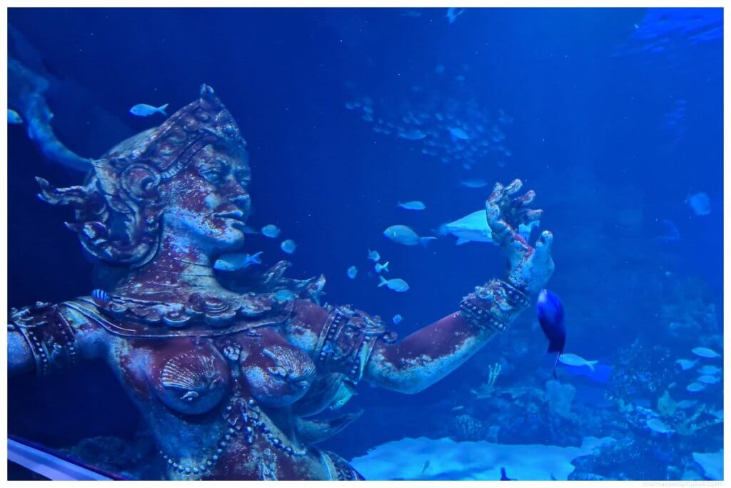 inside aquaira in central floresta phuket